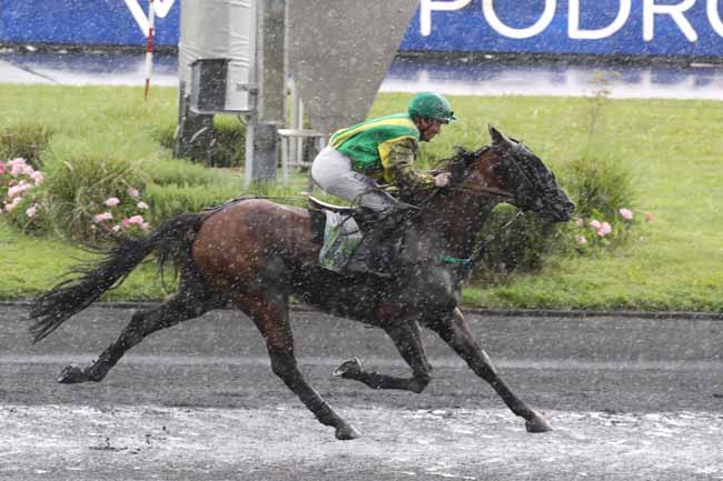 Photo d'arrivée de la course pmu PRIX DE TOULON à PARIS-VINCENNES le Lundi 28 août 2023