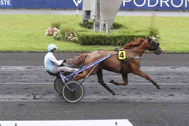 Photo d'arrivée de la course pmu PRIX DE DIJON à PARIS-VINCENNES le Lundi 28 août 2023