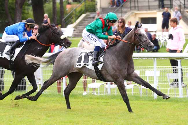 Photo d'arrivée de la course pmu PRIX DU VALLON DES CHENES à DIEPPE le Mardi 29 août 2023