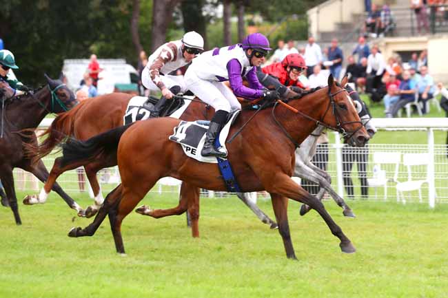 Photo d'arrivée de la course pmu PRIX DES ATELIERS DJSL BOIS (PRIX DU QUEBEC) à DIEPPE le Mardi 29 août 2023
