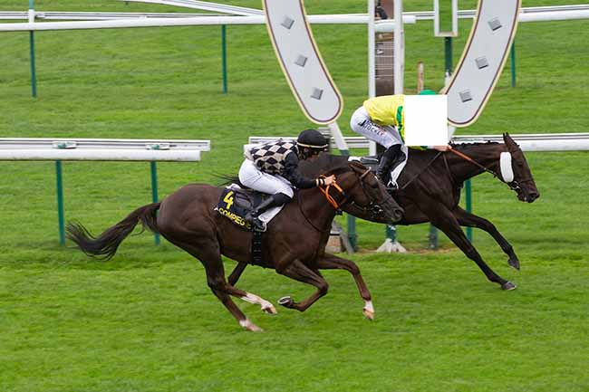 Photo d'arrivée de la course pmu PRIX DE JONQUIERES à COMPIEGNE le Mercredi 30 août 2023