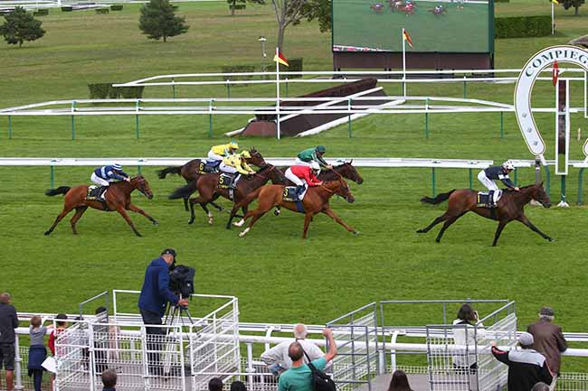 Photo d'arrivée de la course pmu PRIX DU PUITS DU ROY à COMPIEGNE le Mercredi 30 août 2023