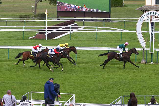 Photo d'arrivée de la course pmu PRIX PALOMELLE à COMPIEGNE le Mercredi 30 août 2023