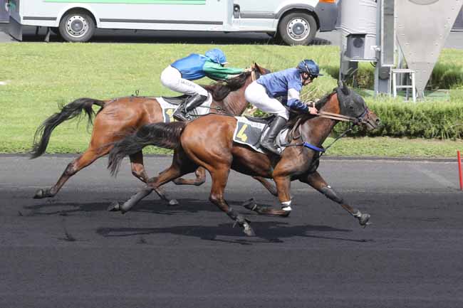 Photo d'arrivée de la course pmu PRIX D'ECOMMOY à PARIS-VINCENNES le Mercredi 30 août 2023