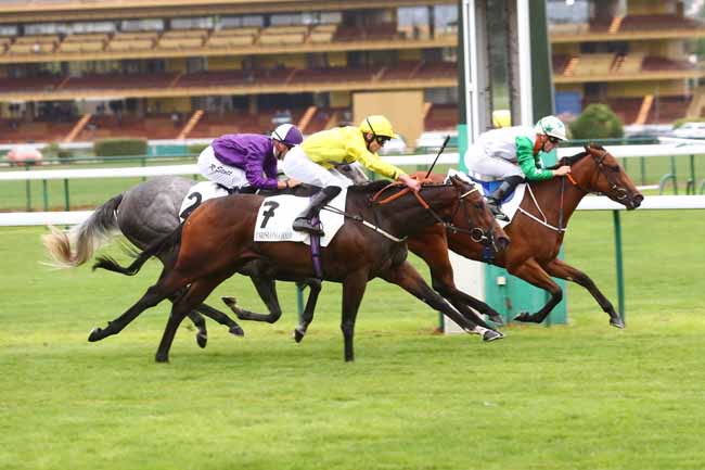 Photo d'arrivée de la course pmu PRIX D'ARENBERG à LONGCHAMP le Jeudi 31 août 2023