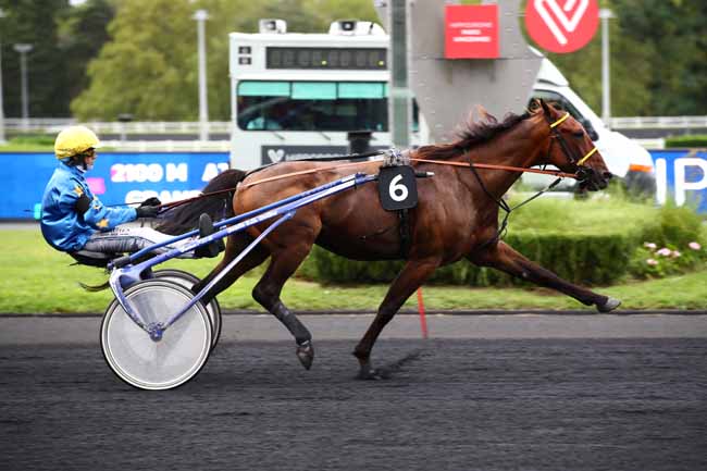 Photo d'arrivée de la course pmu PRIX DIOTIMA à PARIS-VINCENNES le Vendredi 1 septembre 2023
