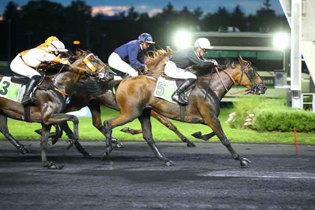 Photo d'arrivée de la course pmu PRIX AMALIA à PARIS-VINCENNES le Vendredi 1 septembre 2023