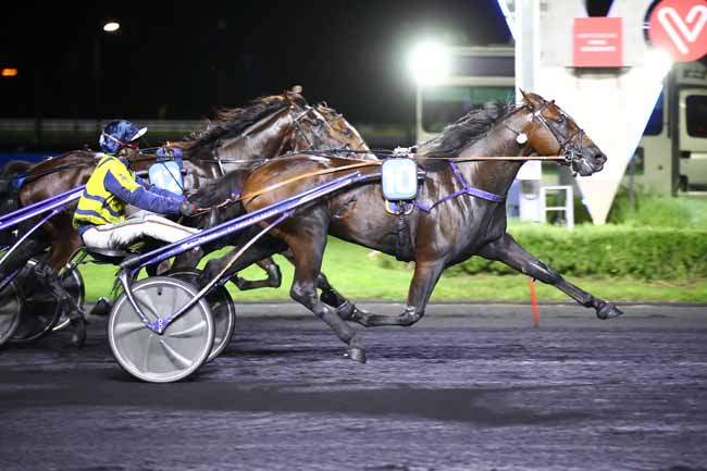 Photo d'arrivée de la course pmu PRIX DORADO à PARIS-VINCENNES le Vendredi 1 septembre 2023