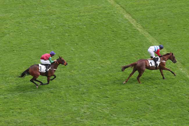 Photo d'arrivée de la course pmu PRIX DES PLATANES à AUTEUIL le Vendredi 1 septembre 2023