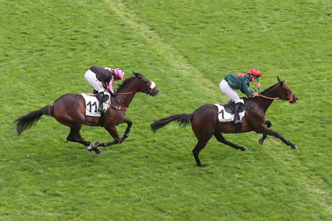 Photo d'arrivée de la course pmu PRIX ACHILLE-FOULD à AUTEUIL le Vendredi 1 septembre 2023