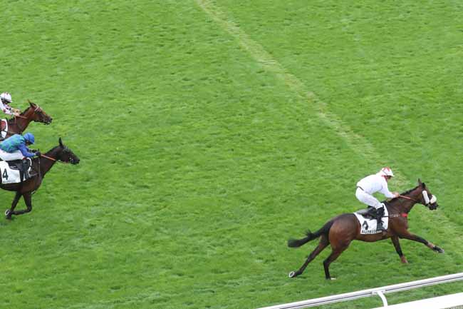 Photo d'arrivée de la course pmu PRIX AMATI à AUTEUIL le Vendredi 1 septembre 2023