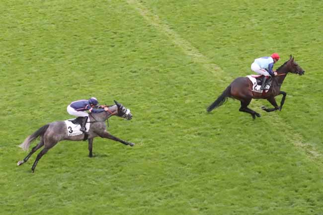 Photo d'arrivée de la course pmu PRIX PIERRE ET JEAN-MARIE MERCIER à AUTEUIL le Vendredi 1 septembre 2023
