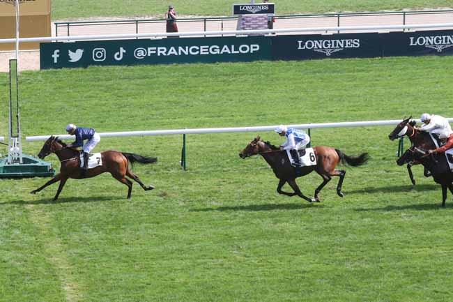 Photo d'arrivée de la course pmu PRIX GLADIATEUR à LONGCHAMP le Dimanche 3 septembre 2023