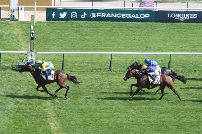 Photo d'arrivée de la course pmu PRIX DU PRINCE D'ORANGE à LONGCHAMP le Dimanche 3 septembre 2023
