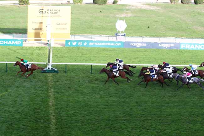 Photo d'arrivée de la course pmu PRIX DE BOLIVAR à LONGCHAMP le Dimanche 3 septembre 2023