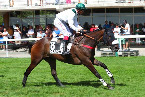 Photo d'arrivée de la course pmu PRIX FRANCE BLEU MAYENNE (PRIX BARON DE PIERRES) à CRAON le Lundi 4 septembre 2023