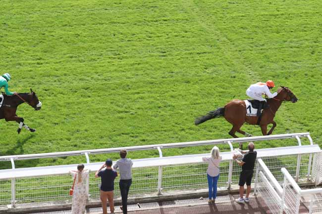 Photo d'arrivée de la course pmu PRIX MARLY RIVER à AUTEUIL le Mardi 5 septembre 2023
