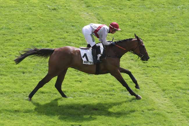 Photo d'arrivée de la course pmu PRIX CADOUDAL à AUTEUIL le Mardi 5 septembre 2023