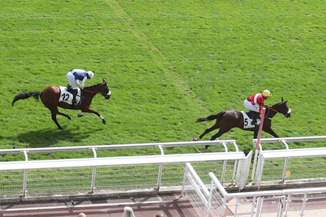 Photo d'arrivée de la course pmu PRIX MELANOS à AUTEUIL le Mardi 5 septembre 2023