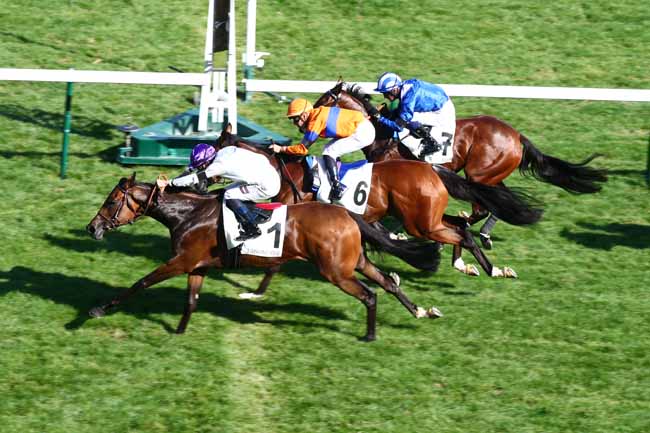 Photo d'arrivée de la course pmu PRIX D'AUMALE à LONGCHAMP le Jeudi 7 septembre 2023