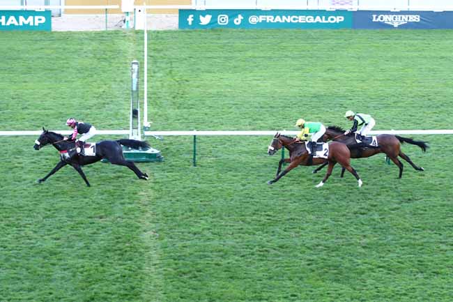 Photo d'arrivée de la course pmu PRIX DE CRAON à LONGCHAMP le Jeudi 7 septembre 2023