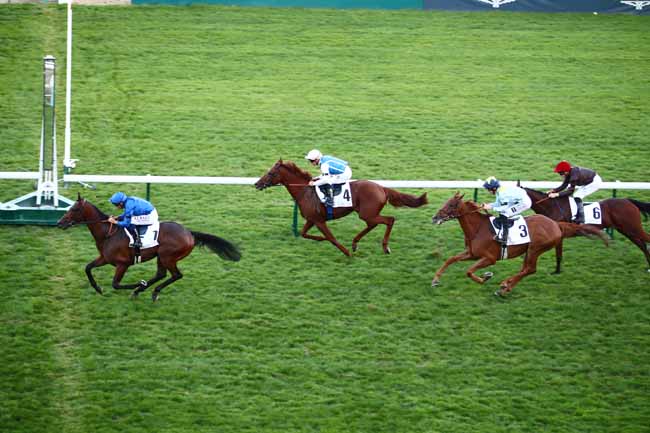 Photo d'arrivée de la course pmu PRIX MERCEDES-BENZ PARIS (PRIX DE LORMOY) à LONGCHAMP le Jeudi 7 septembre 2023