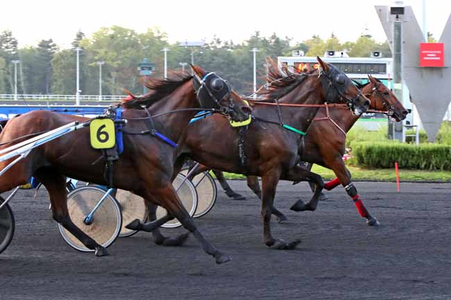 Photo d'arrivée de la course pmu PRIX BAPTISTINA à PARIS-VINCENNES le Vendredi 8 septembre 2023