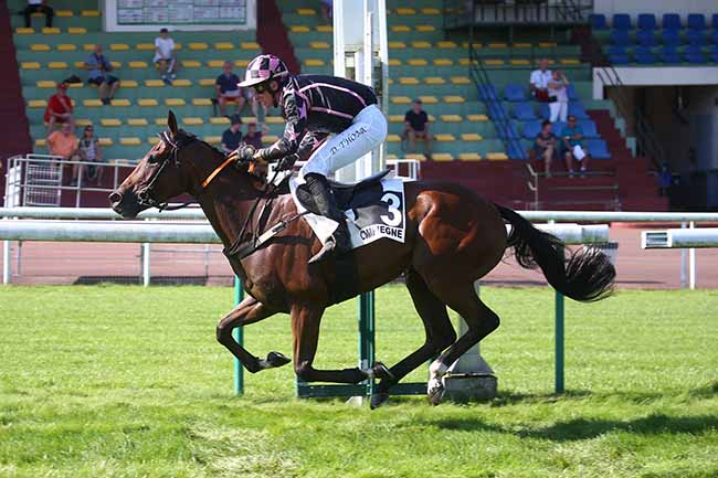 Photo d'arrivée de la course pmu PRIX ROMAN OAK à COMPIEGNE le Vendredi 8 septembre 2023