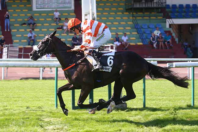 Photo d'arrivée de la course pmu PRIX SUMMIT à COMPIEGNE le Vendredi 8 septembre 2023