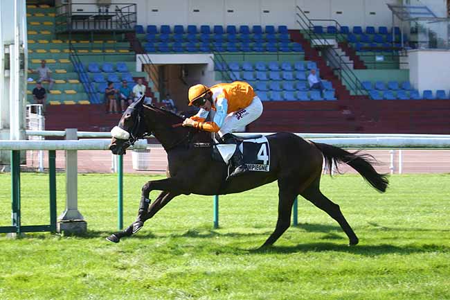 Photo d'arrivée de la course pmu PRIX NUAGE à COMPIEGNE le Vendredi 8 septembre 2023