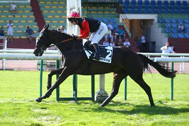 Photo d'arrivée de la course pmu PRIX LANISTE à COMPIEGNE le Vendredi 8 septembre 2023