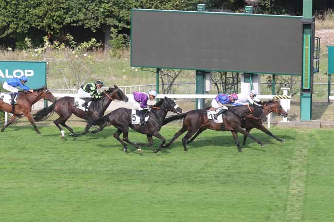 Photo d'arrivée de la course pmu PRIX DE L'ETANG DE SAINT-CUCUFA à SAINT CLOUD le Vendredi 8 septembre 2023