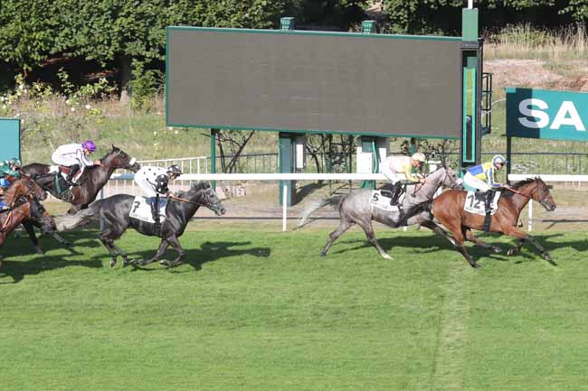 Photo d'arrivée de la course pmu PRIX DE JUMILHAC à SAINT CLOUD le Vendredi 8 septembre 2023