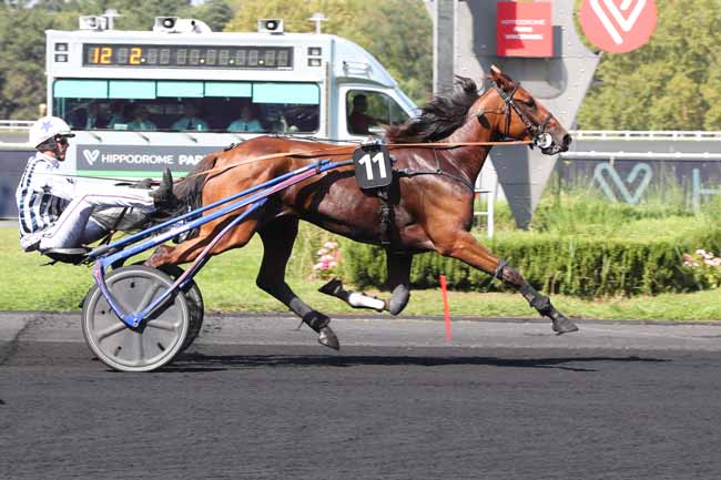 Photo d'arrivée de la course pmu PRIX EMILE WENDLING à PARIS-VINCENNES le Samedi 9 septembre 2023