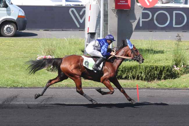 Photo d'arrivée de la course pmu PRIX DE BAGNOLS-SUR-CEZE à PARIS-VINCENNES le Samedi 9 septembre 2023