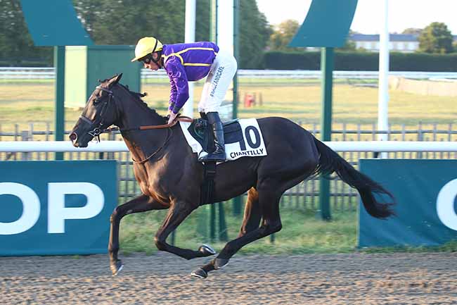 Photo d'arrivée de la course pmu PRIX DU CANAL SAINT-JEAN à CHANTILLY le Samedi 9 septembre 2023