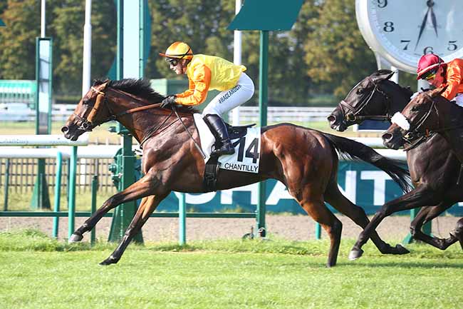 Photo d'arrivée de la course pmu PRIX DES ECURIES CHEVAL-ETOILE (PRIX DE L'AVENUE DU BOUTEILLER) à CHANTILLY le Samedi 9 septembre 2023