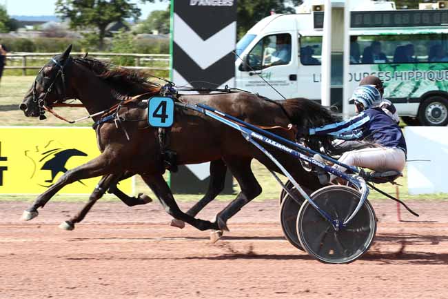 Photo d'arrivée de la course pmu PRIX DE SAVIGNY-SUR-BRAYE à ANGERS le Mercredi 13 septembre 2023
