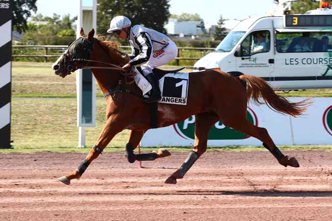 Photo d'arrivée de la course pmu PRIX DE LAVAL à ANGERS le Mercredi 13 septembre 2023