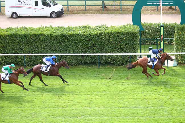 Photo d'arrivée de la course pmu PRIX DE SAINT-FIRMIN à CHANTILLY le Mercredi 13 septembre 2023