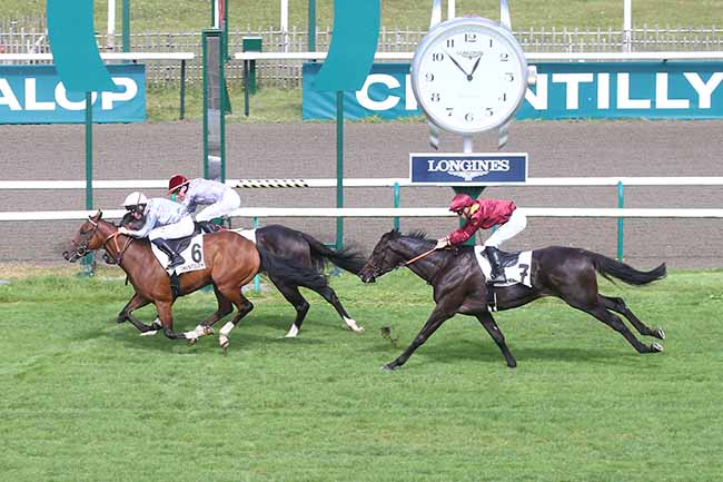 Photo d'arrivée de la course pmu PRIX DE LA CATHEDRALE DE BEAUVAIS à CHANTILLY le Mercredi 13 septembre 2023