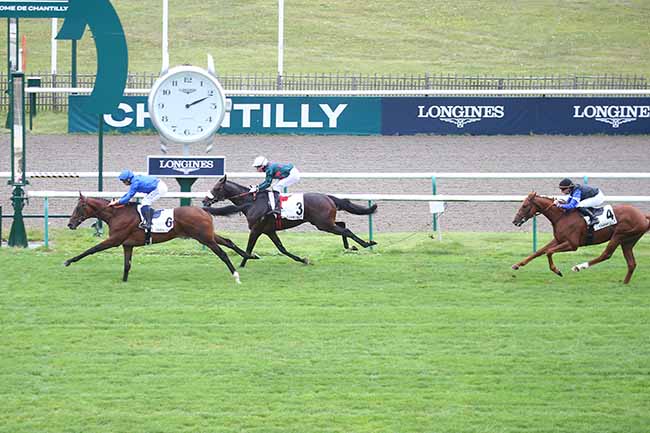 Photo d'arrivée de la course pmu PRIX DE LA MANIGUETTE à CHANTILLY le Mercredi 13 septembre 2023