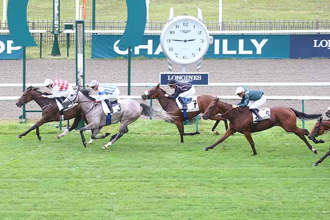 Photo d'arrivée de la course pmu PRIX DE L'EGLISE RUINEE DE CHAMPLIEU à CHANTILLY le Mercredi 13 septembre 2023