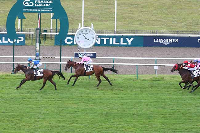Photo d'arrivée de la course pmu PRIX DE MAYSEL à CHANTILLY le Mercredi 13 septembre 2023