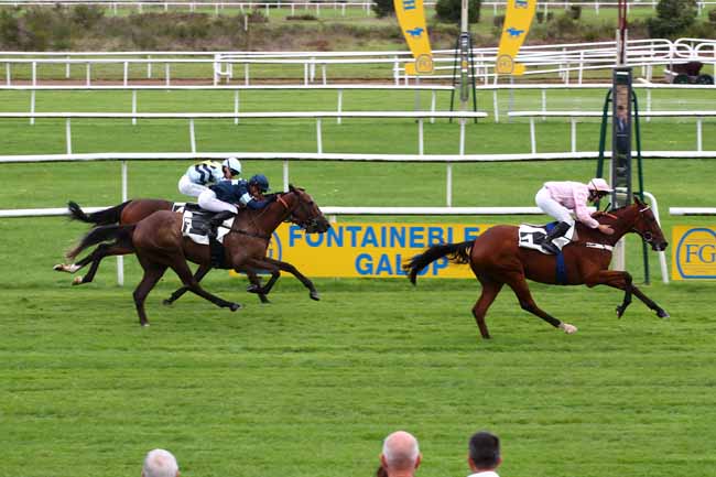 Photo d'arrivée de la course pmu PRIX DE LA TABLE DU GRAND MAITRE à FONTAINEBLEAU le Jeudi 14 septembre 2023