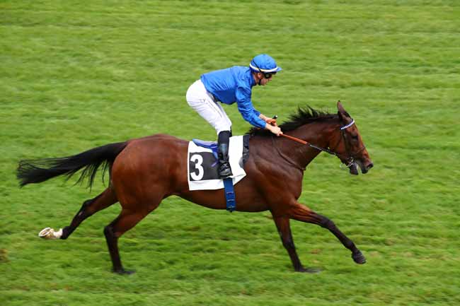 Photo d'arrivée de la course pmu PRIX DES CHARMILLES à FONTAINEBLEAU le Jeudi 14 septembre 2023