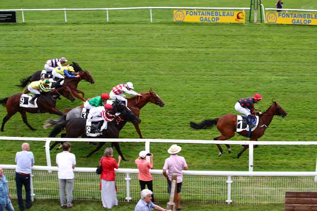 Photo d'arrivée de la course pmu PRIX DES MELEZES à FONTAINEBLEAU le Jeudi 14 septembre 2023