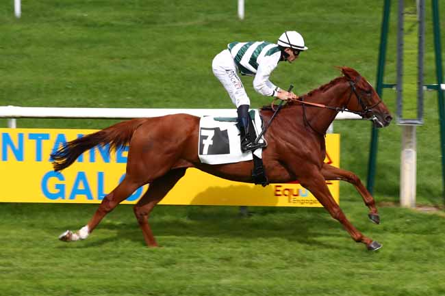 Photo d'arrivée de la course pmu PRIX DES BOSQUETS à FONTAINEBLEAU le Jeudi 14 septembre 2023