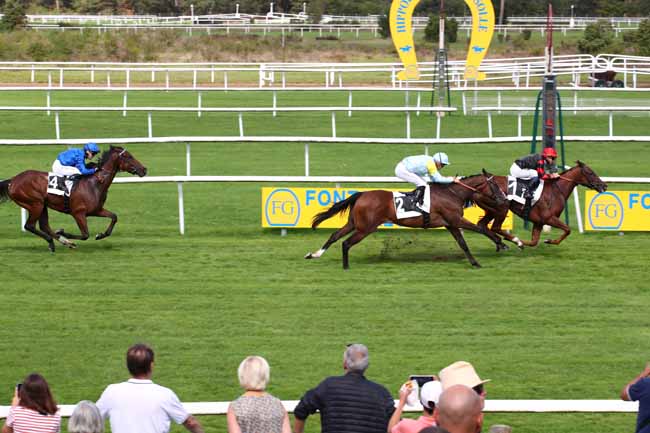 Photo d'arrivée de la course pmu PRIX DES PINS LARICIO à FONTAINEBLEAU le Jeudi 14 septembre 2023