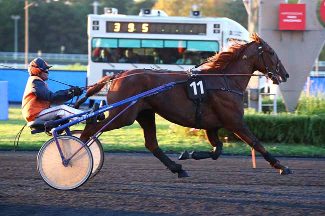 Photo d'arrivée de la course pmu PRIX ALKMENE à PARIS-VINCENNES le Vendredi 15 septembre 2023
